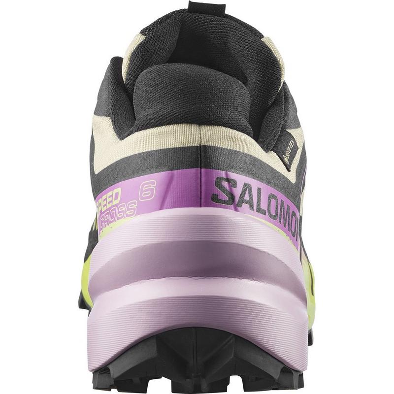 Salomon Chaussures de course sur sentier Speedcross 6 GTX pour femmes