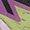 Bog Dawn Pink Acid Lime | Women's Speedcross 6 GTX Trail Running Shoe