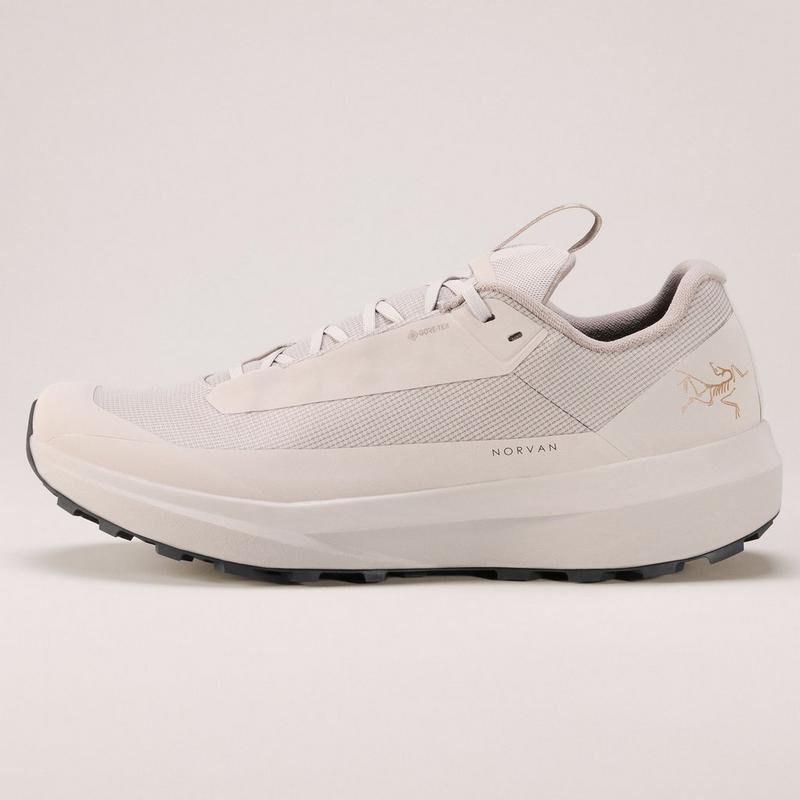 Arc'teryx Chaussure de course sur sentiers Norvan LD 4 GTX pour hommes