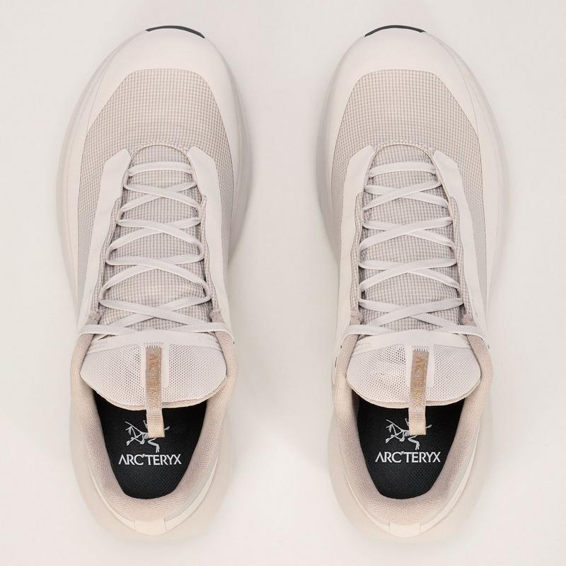 Arc'teryx Chaussure de course sur sentiers Norvan LD 4 GTX pour hommes
