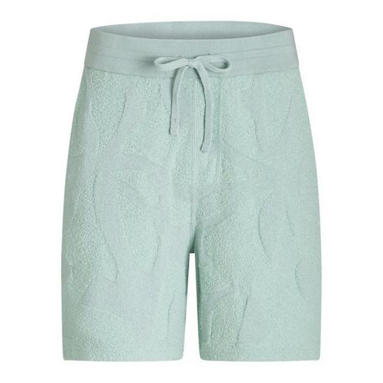 BOSS Short Asurfer pour hommes