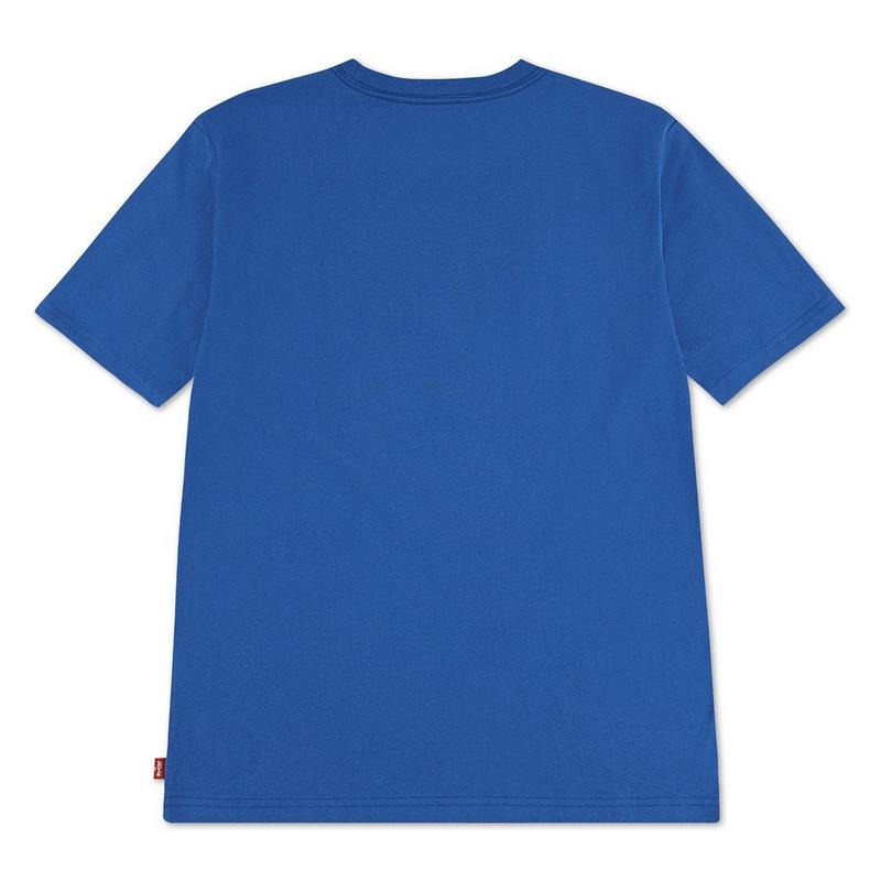 Levi's T-shirt Batwing Slice pour gar&ccedil;ons juniors [8-20]