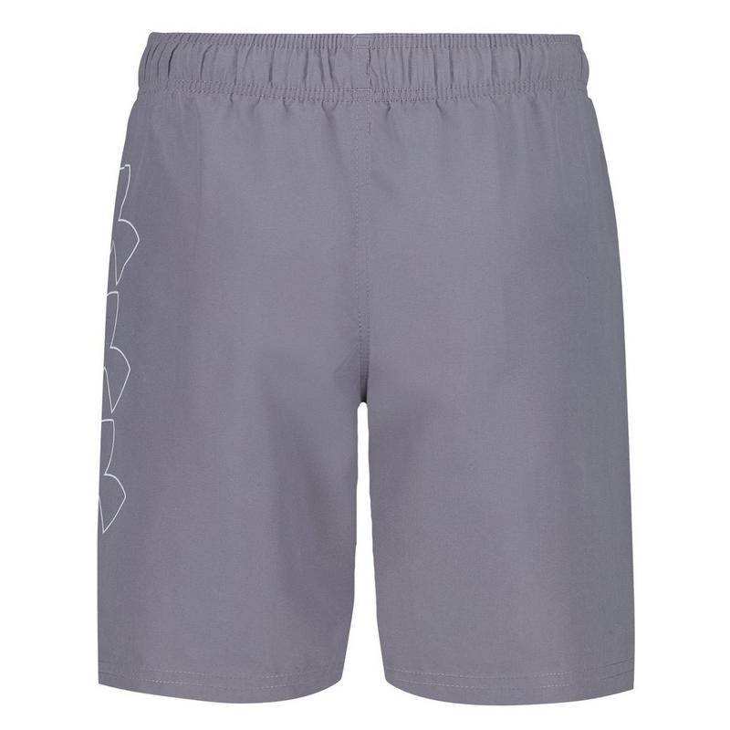 Under Armour Junior Boys' [8-16] DWR Print Volley Swim Trunk