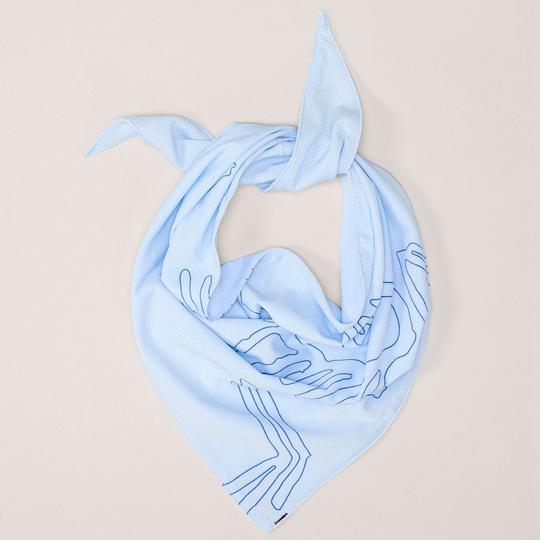 Arc'teryx Bandana Sinsolo