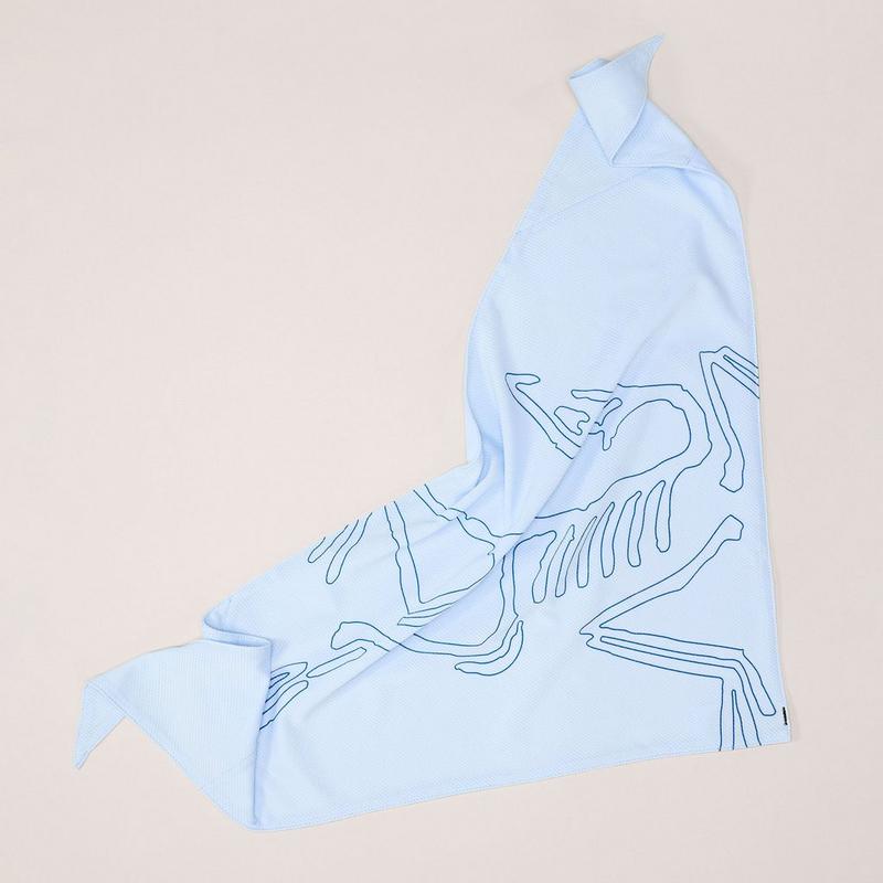 Arc'teryx Bandana Sinsolo