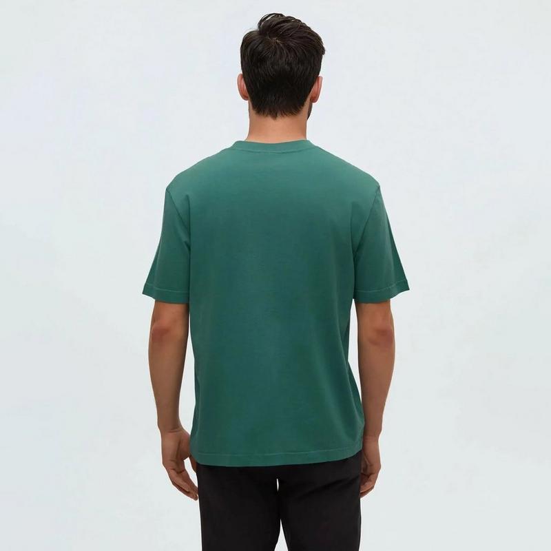 Tentree T-shirt Regenerative Lake Life Portal pour hommes