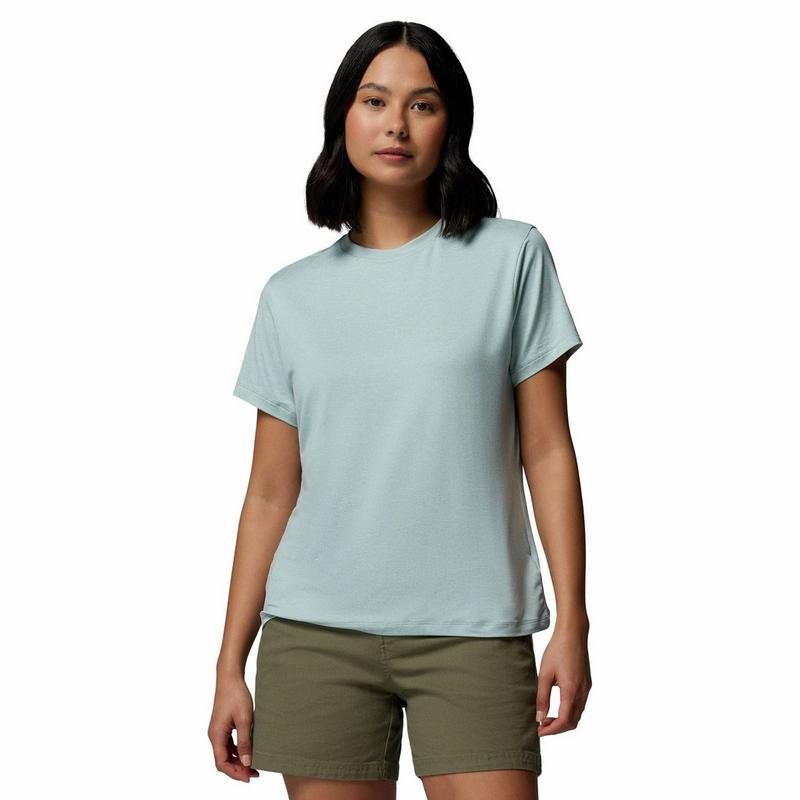 Columbia Women's Parsons Point Back Graphic T-Shirt