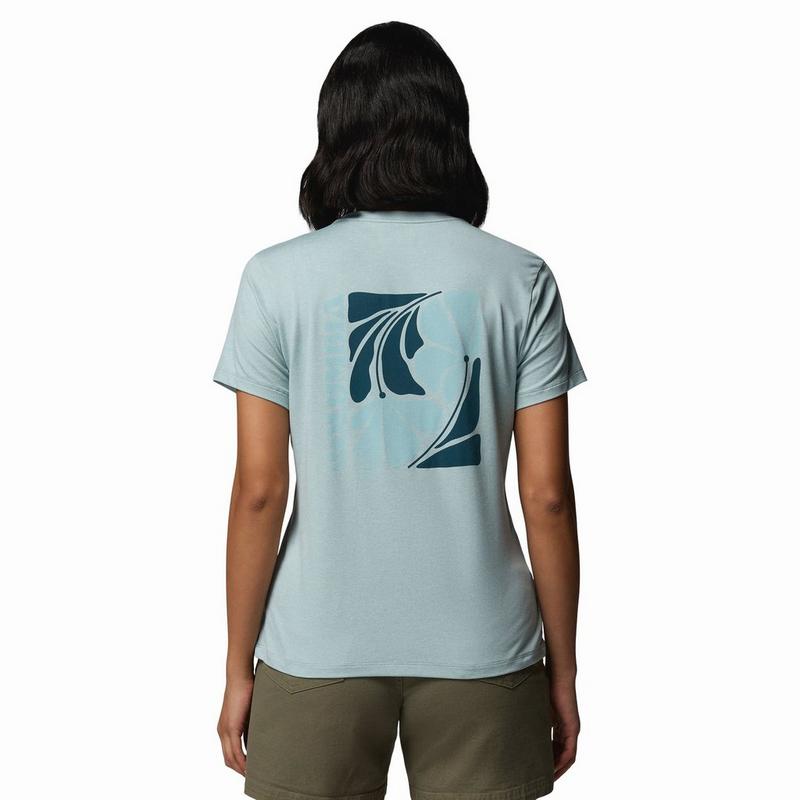 Columbia Women's Parsons Point Back Graphic T-Shirt