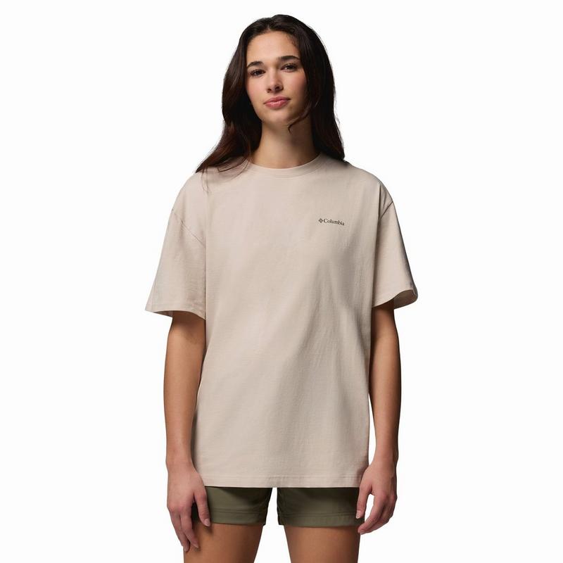 Columbia Women's Rolling Bend Graphic Oversized T-Shirt