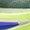 Barely Green Black Spruce Volt Ice Sapphire | Men's Zoom Fly 6 Racing Shoe