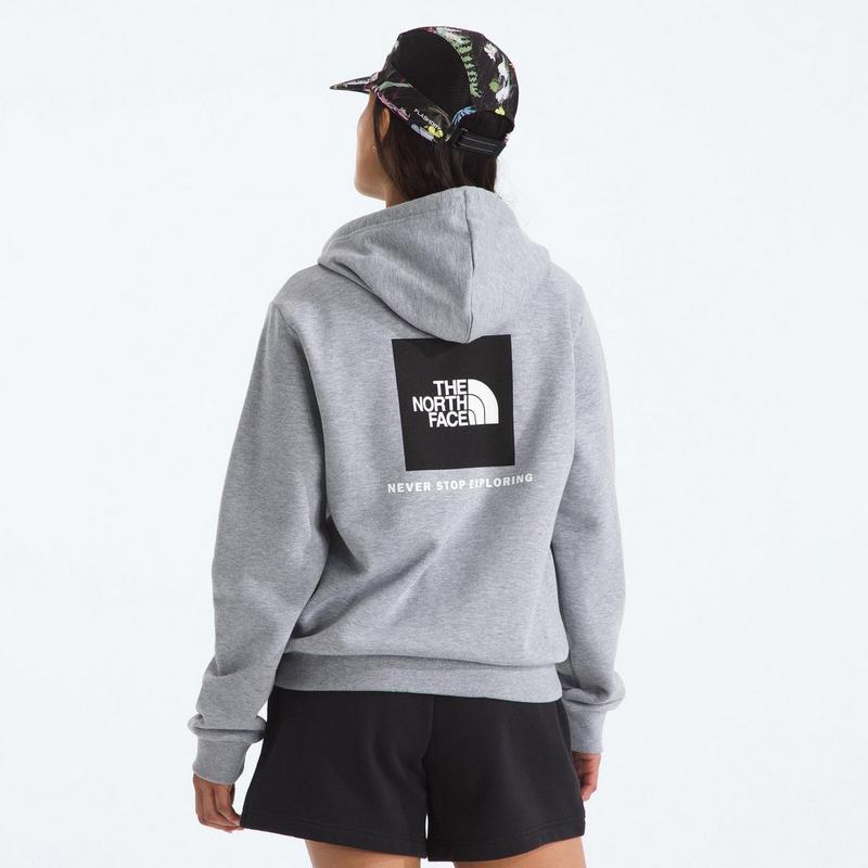 The North Face Chandail &agrave; capuchon Evolution Box NSE pour femmes