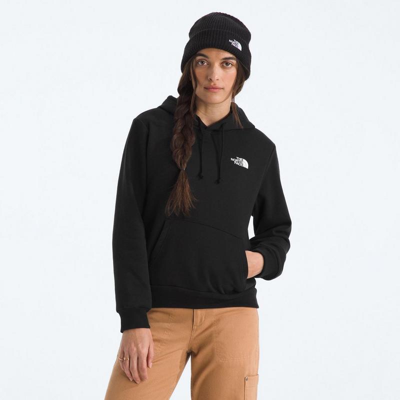 The North Face Women's Evolution Box NSE Hoodie