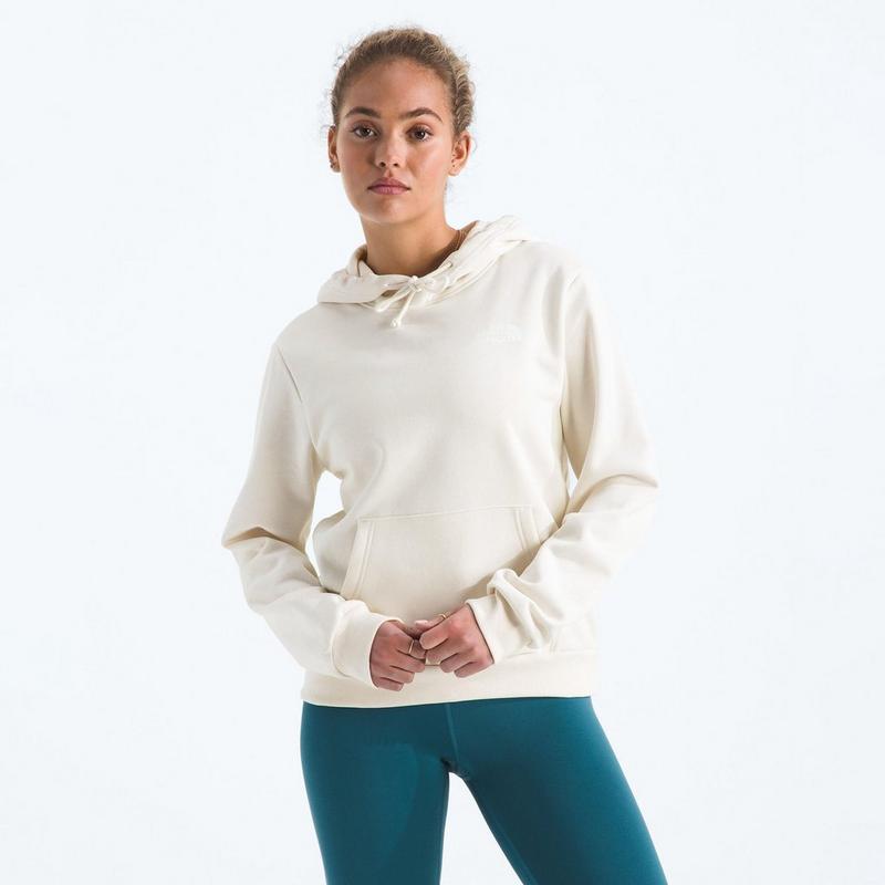 The North Face Chandail &agrave; capuchon Evolution Box NSE pour femmes