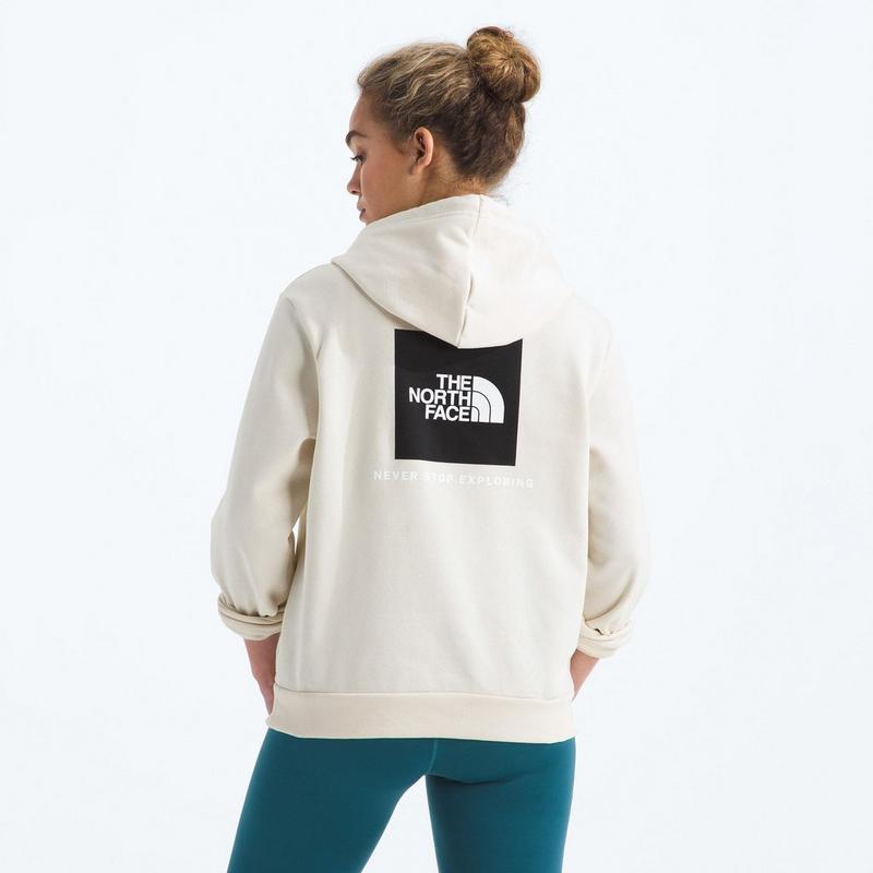 The North Face Chandail &agrave; capuchon Evolution Box NSE pour femmes
