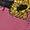 Peony Black Metallic Gold White | Chaussure Air Force 1 '07 Premium Flowers pour femmes
