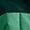 Dimmed Algae / Hunter Green | Junior Boys' [7-20] Reversible Shasta Full-Zip Hooded Jacket