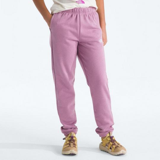 The North Face Juniors   7-20  Evolution Simple Dome Pant