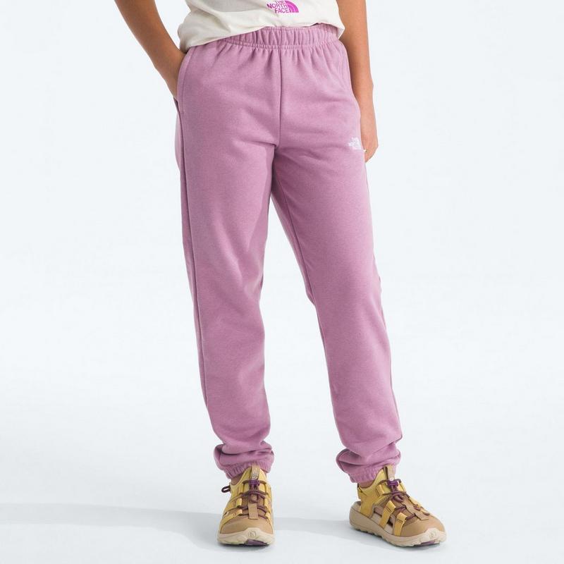 The North Face Pantalon Evolution Simple Dome pour juniors [7-20]