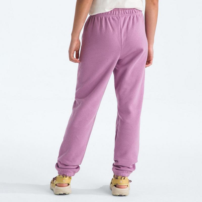 The North Face Pantalon Evolution Simple Dome pour juniors [7-20]