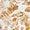 Taupe Floral | Men's Jake Printed Poplin Short Sleeve Shirt