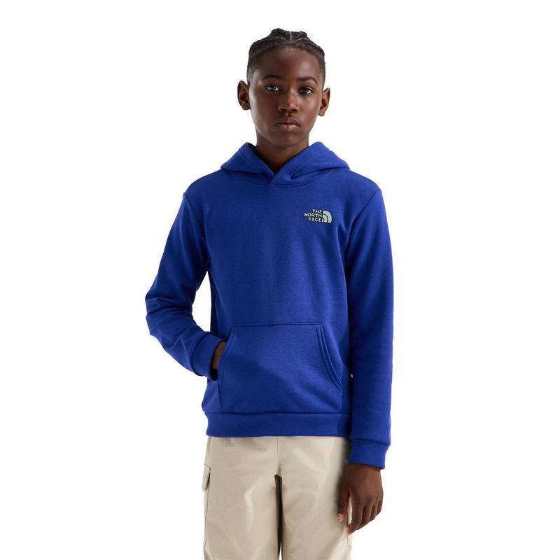 The North Face Chandail &agrave; capuchon graphique Outdoor pour gar&ccedil;ons juniors [7-20]