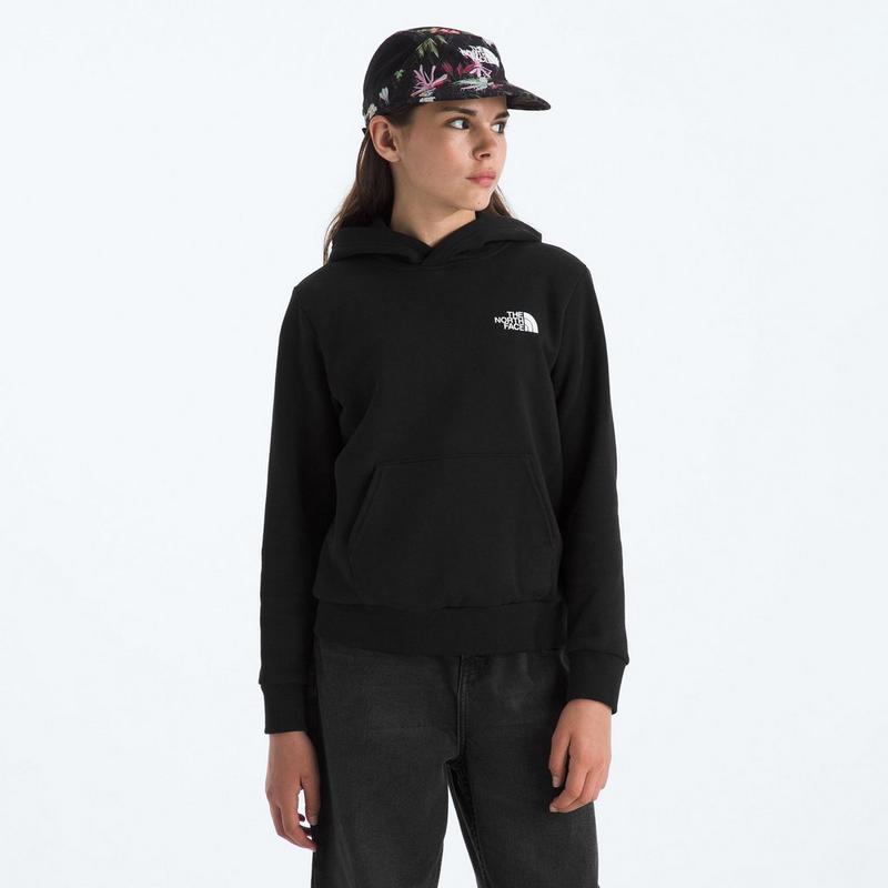The North Face Chandail &agrave; capuchon Evolution Box NSE pour juniors [7-20]