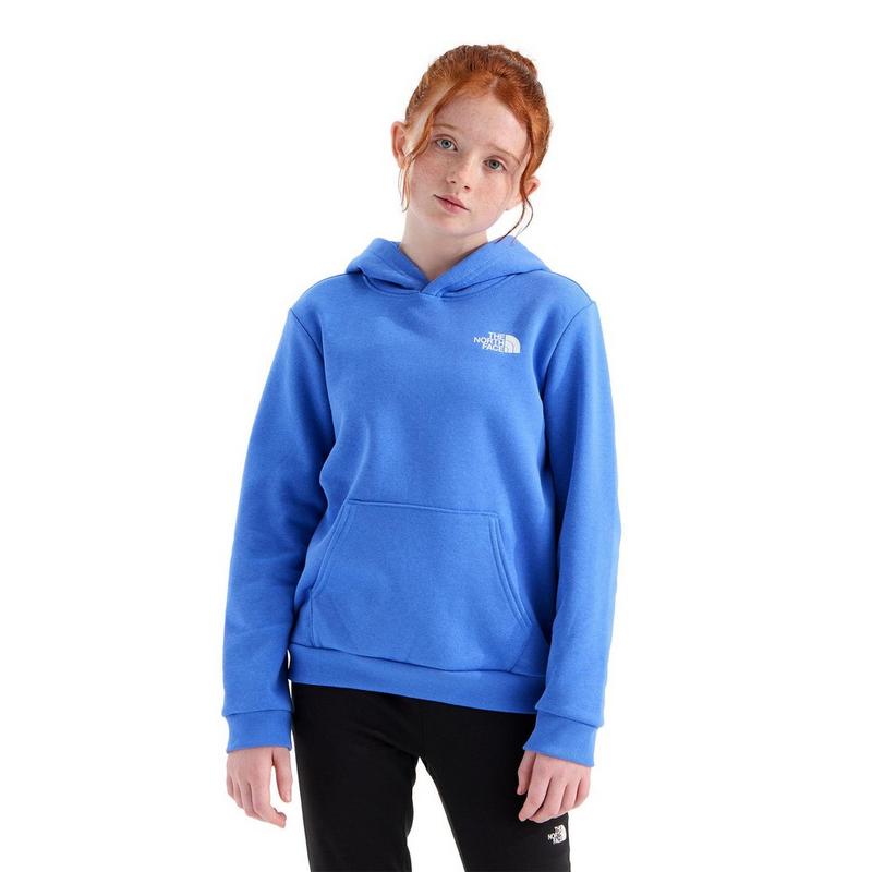 The North Face Chandail &agrave; capuchon Evolution Box NSE pour juniors [7-20]