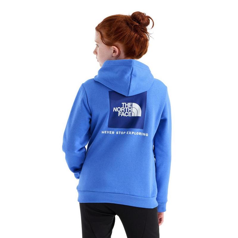 The North Face Chandail &agrave; capuchon Evolution Box NSE pour juniors [7-20]