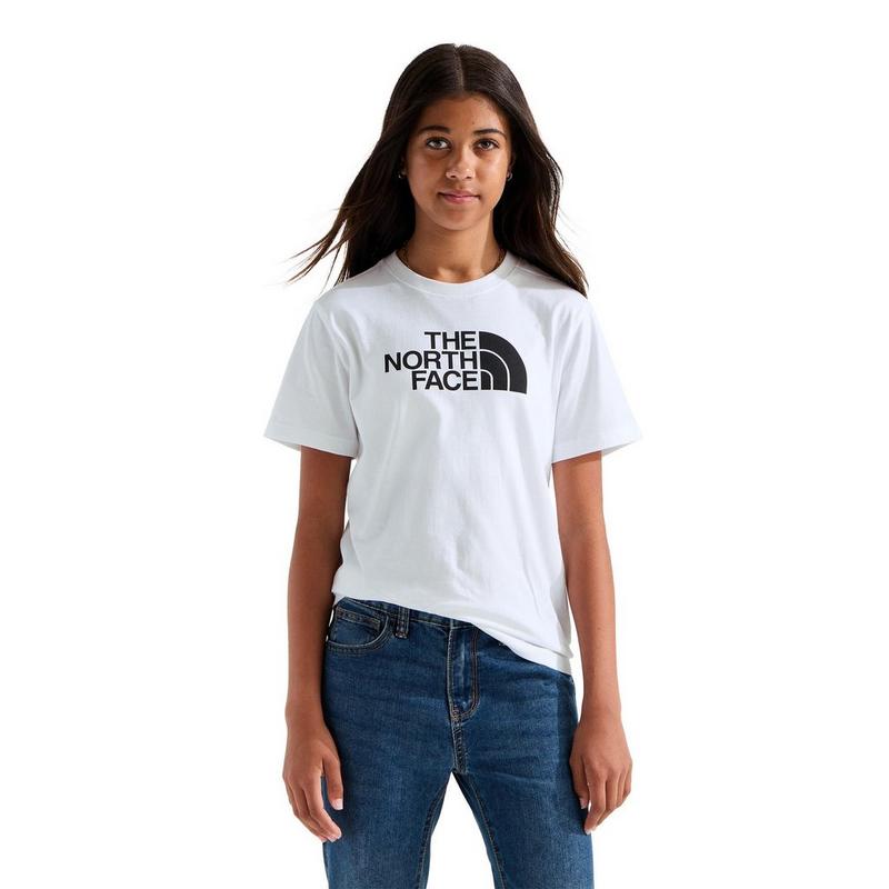The North Face Juniors' [7-20] Evolution Half Dome Short Sleeve T-Shirt