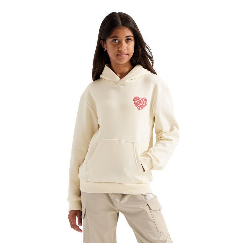The North Face Chandail &agrave; capuchon graphique Brand Proud pour filles juniors [7-20]
