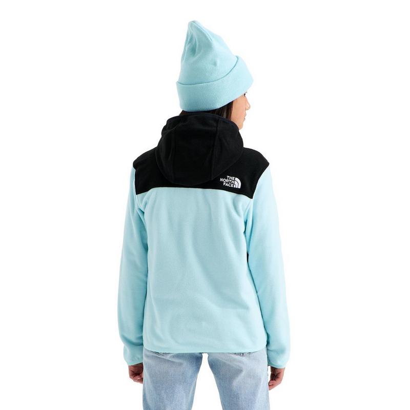 The North Face Juniors' [7-20] Glacier Full-Zip Hoodie Jacket