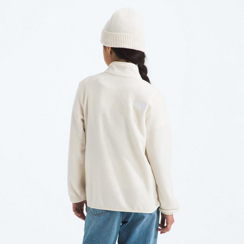 The North Face Juniors' [7-20] Glacier 1/4-Zip Pullover Top