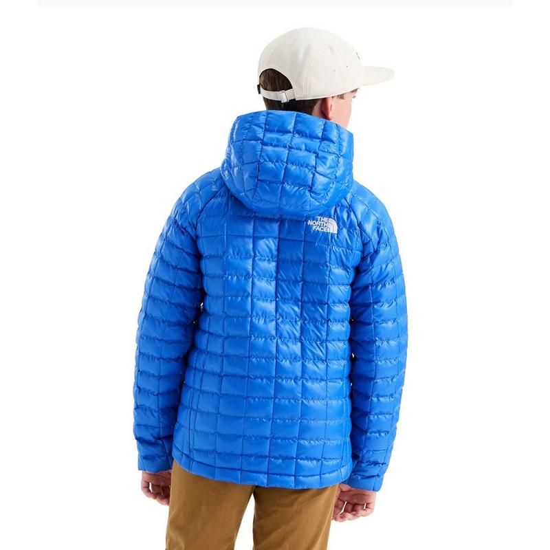 The North Face Juniors' [7-20] ThermoBall Hooded Jacket