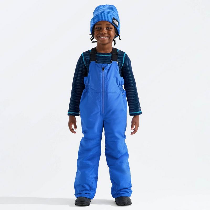 The North Face Kids' [2-7] Freedom Insulated Bib Pant