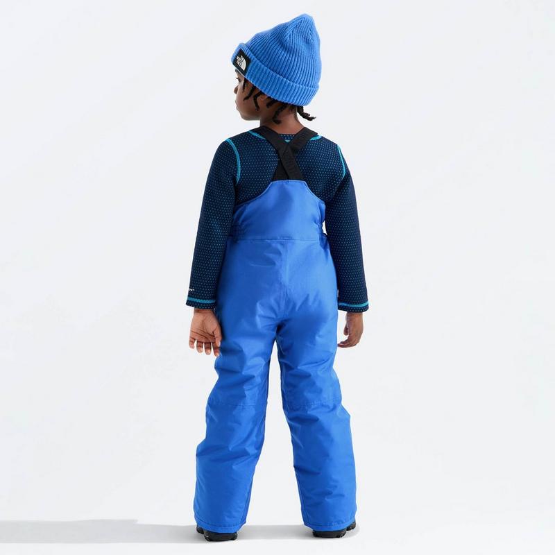 The North Face Kids' [2-7] Freedom Insulated Bib Pant