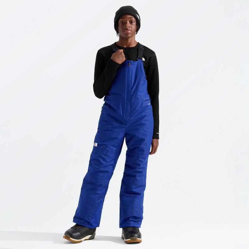 The North Face Juniors' [7-20] Freedom Insulated Bib Pant