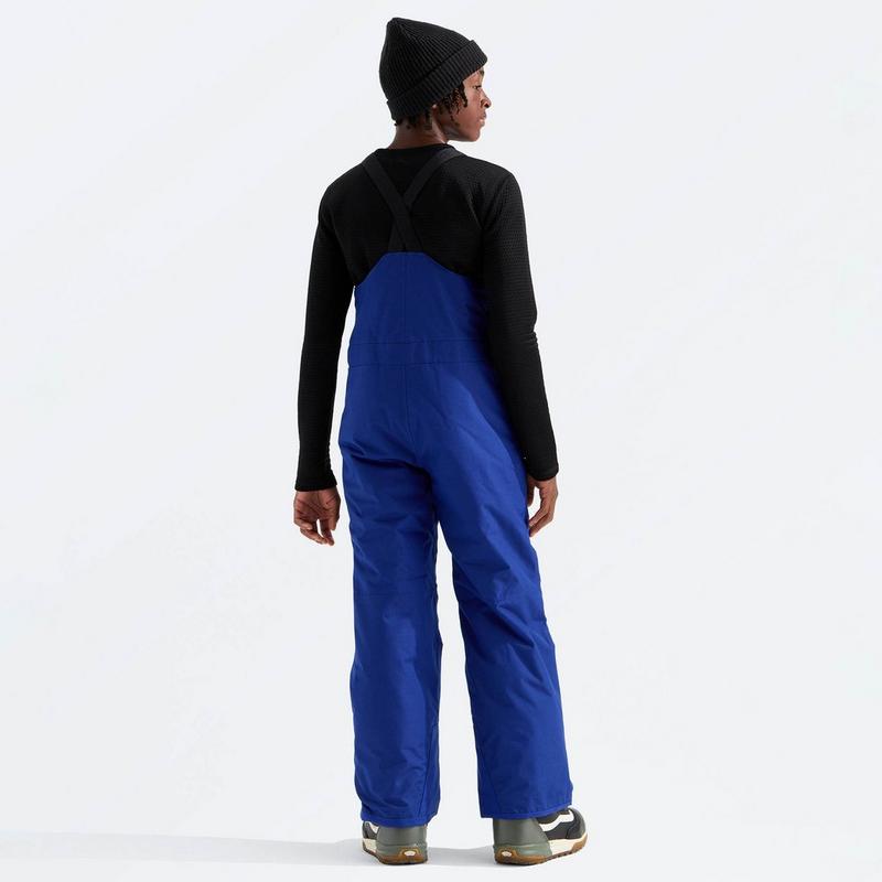 The North Face Juniors' [7-20] Freedom Insulated Bib Pant