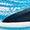 Frost Black | Kids' [11-3] Clifton 10 Running Shoe
