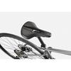 Quick 3 Bike