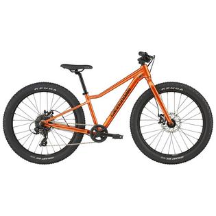 Cannondale V&eacute;lo Trail Plus 24 pour juniors