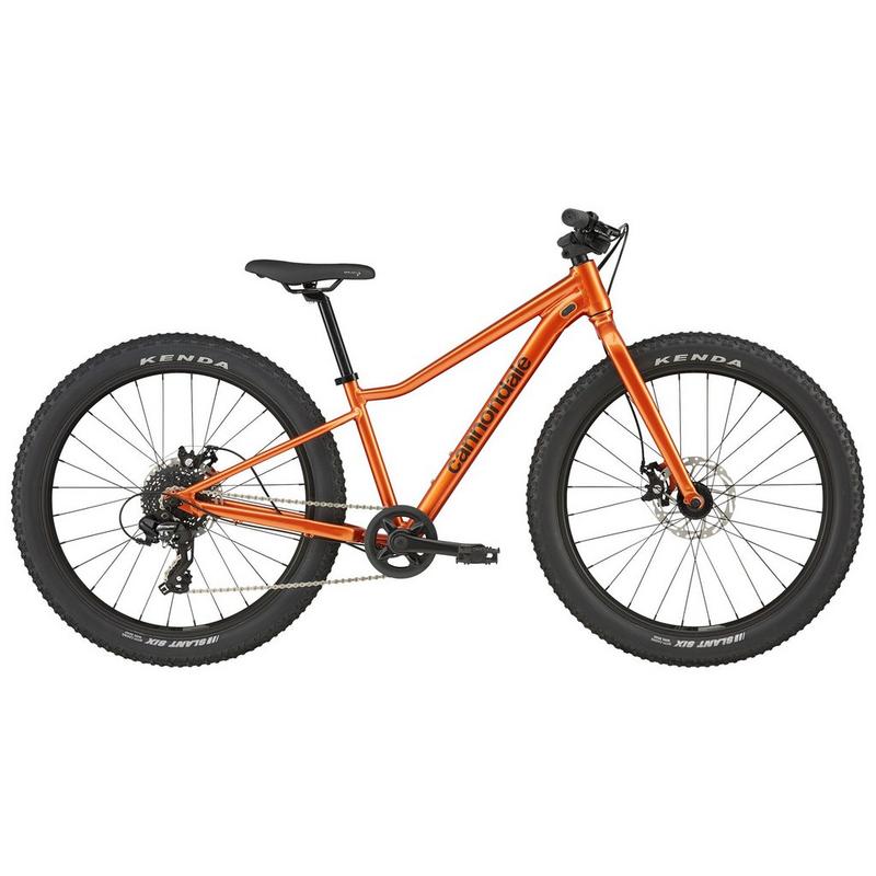 Cannondale V&eacute;lo Trail Plus 24 pour juniors