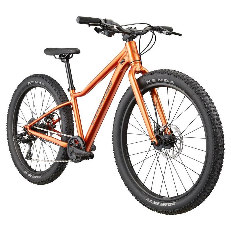 Cannondale V&eacute;lo Trail Plus 24 pour juniors