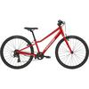 Juniors  Quick 24 Bike