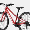 Juniors  Quick 24 Bike