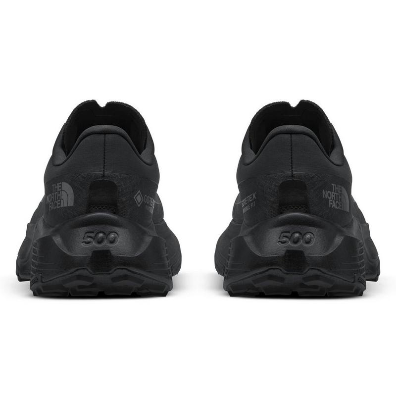 The North Face Chaussures de course sur sentier Altamesa 500 V2 GORE-TEX pour hommes