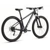 Rockhopper 29 Bike