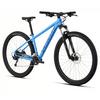 Rockhopper 29 Bike