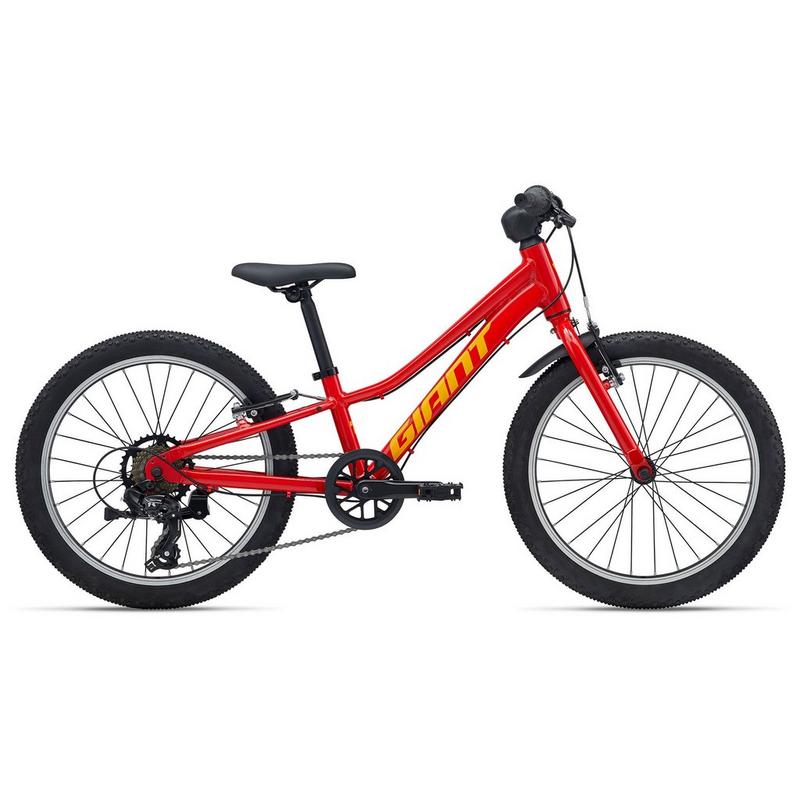 Giant Juniors' Talon 20 Lite Bike