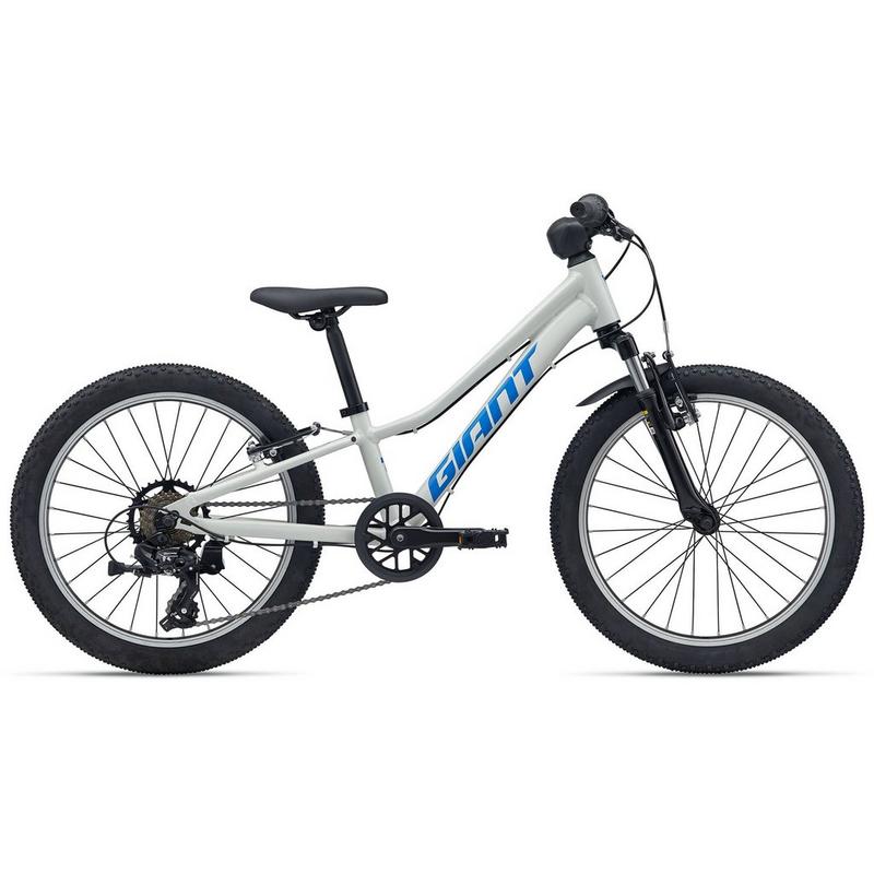Giant Juniors' Talon 20 Bike