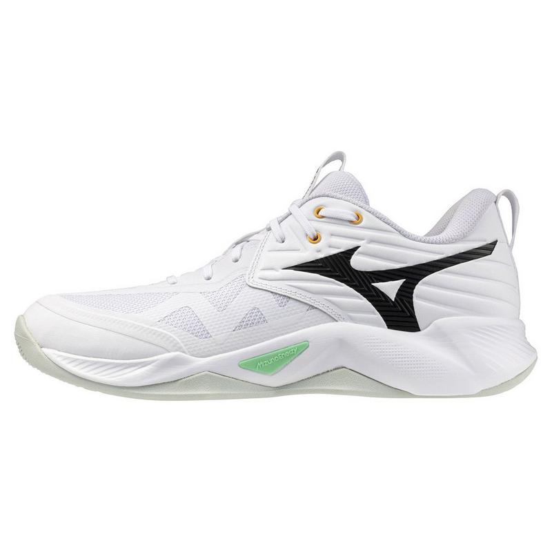 Mizuno Chaussures pour terrain int&eacute;rieur Wave Momentum 4 Pro pour hommes